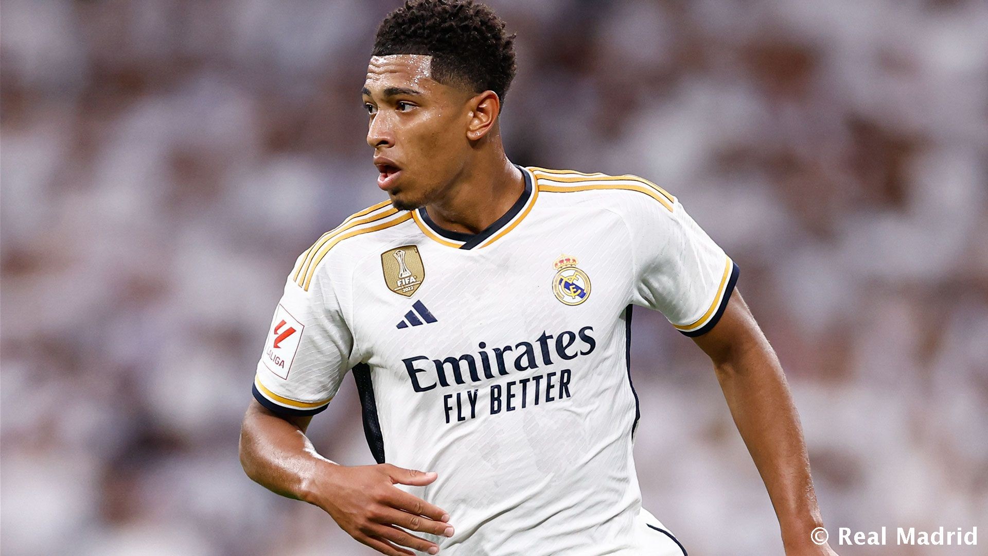 以训练场为 以训练场为